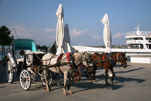 Spetses Island - The ferry-boat behind the traditional one-horse carriages